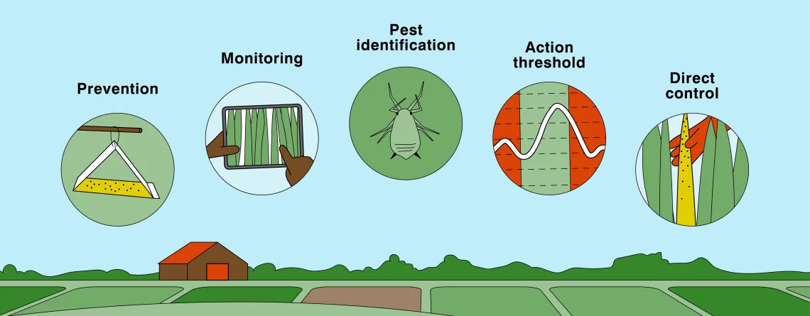 Integrated pest management