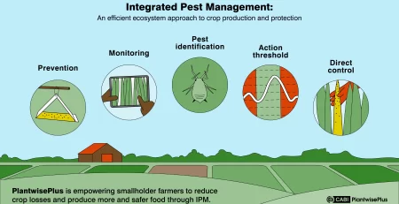 Integrated pest management