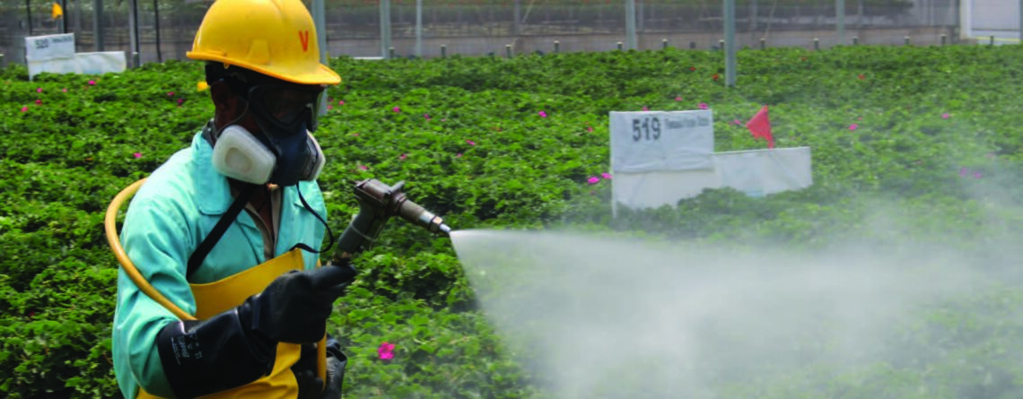 use of pesticides is as plant protection