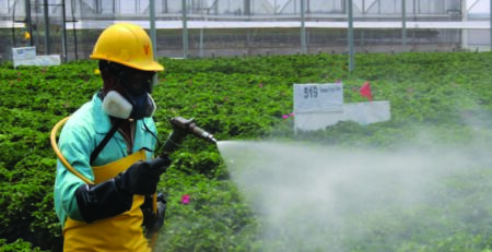 use of pesticides is as plant protection